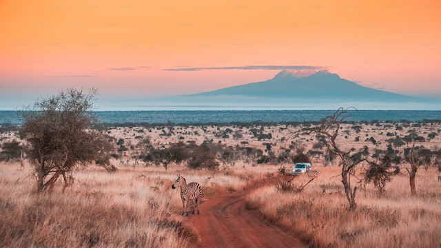 Explore the Best Travel Spots in Africa