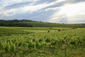 Best Places To Visit in France in Spring best places to visit in France in spring