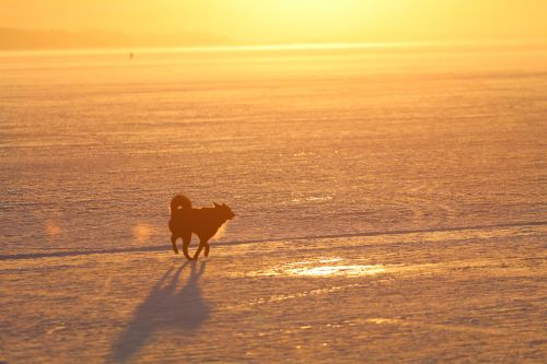 Best time to visit Norway for northern lights